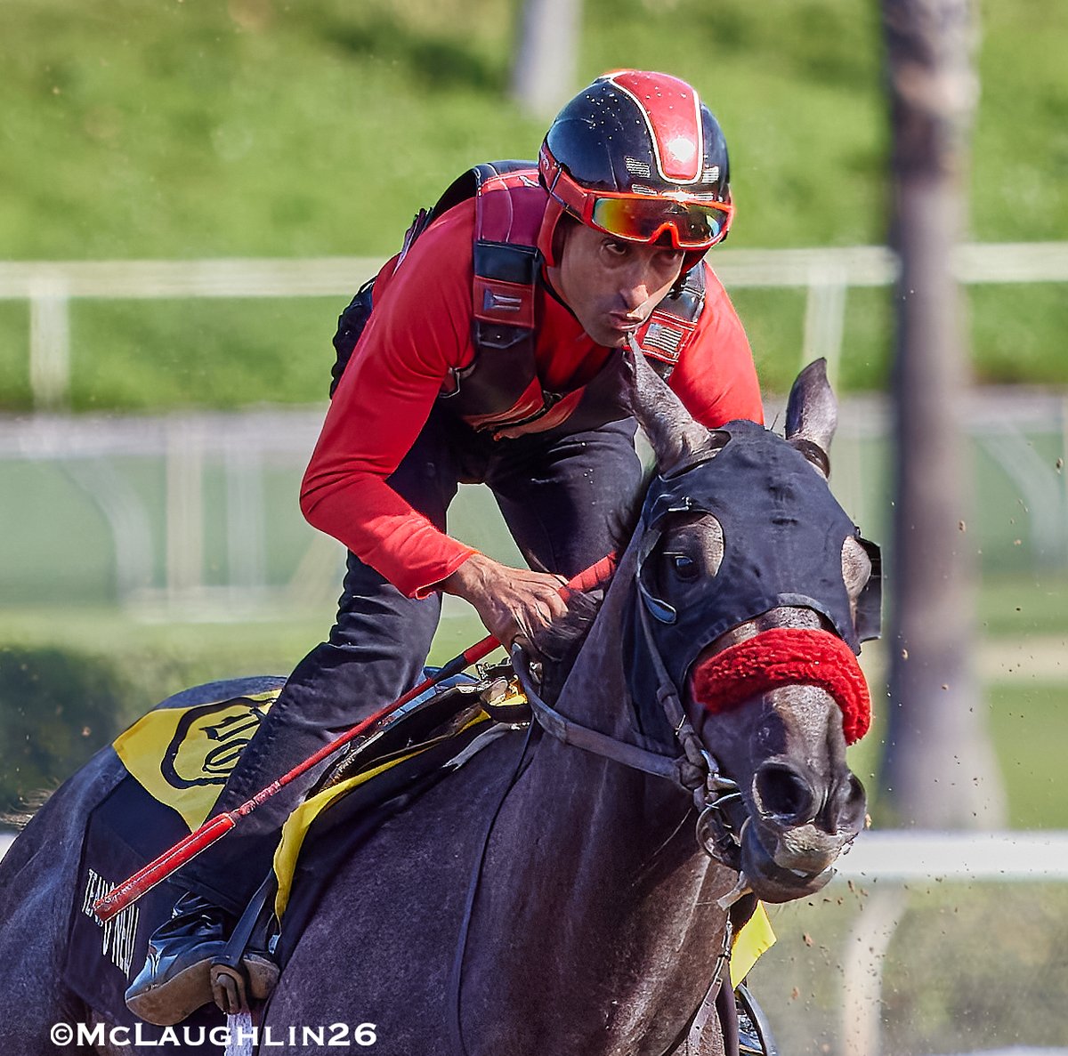 Ohio-Born Jockey Edwin Maldonado and Longshot Pavlovian Team Up for Dream Kentucky Derby Debut